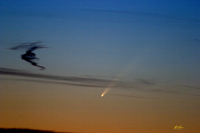 Comet McNaught Jan 07